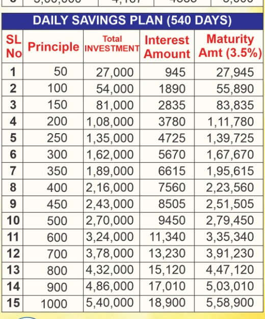 Daily Savings Plan